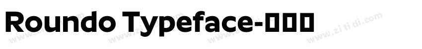 Roundo Typeface字体转换